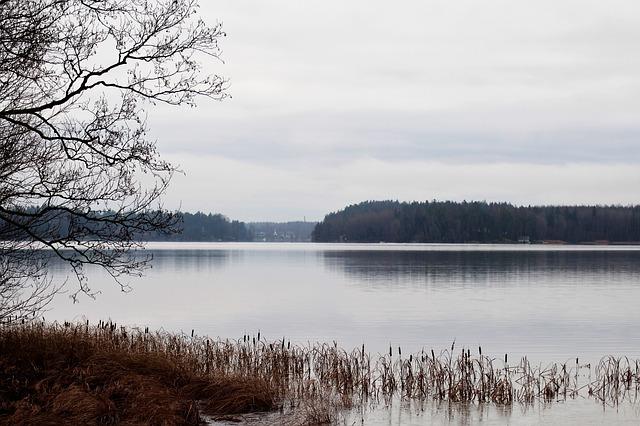 Jak efektivně plánovat rozpočet na vybudování lůžka