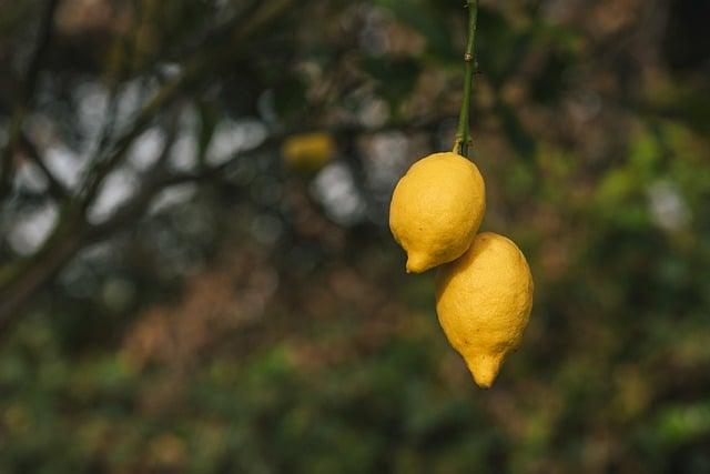 Ranní rituál s citronem a teplou vodou