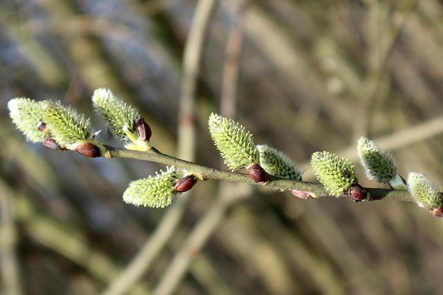 Magazín pro Seniory: Zdraví, Zábava, Důchody, Cestování a Inspirace 1 Kolik je invalidní důchod prvního stupně: Přehled finanční podpory