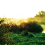 Magazín pro Seniory: Zdraví, Zábava, Důchody, Cestování a Inspirace 8 Babské rady na opar v nose: Rychlá a účinná pomoc