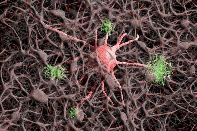 Pochopení symptomů a stadií Alzheimerovy choroby