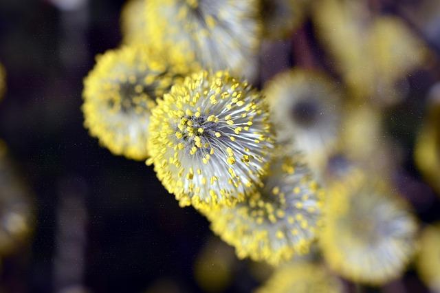 Úvod do slunečních alergií a jejich příčin