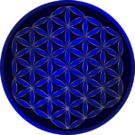 Proč je potřeba zkoumat kvalitu života lidí s demencí: Klíčové důvody