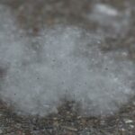 Babské rady na alergickou rýmu: Jak zvládnout alergickou rýmu