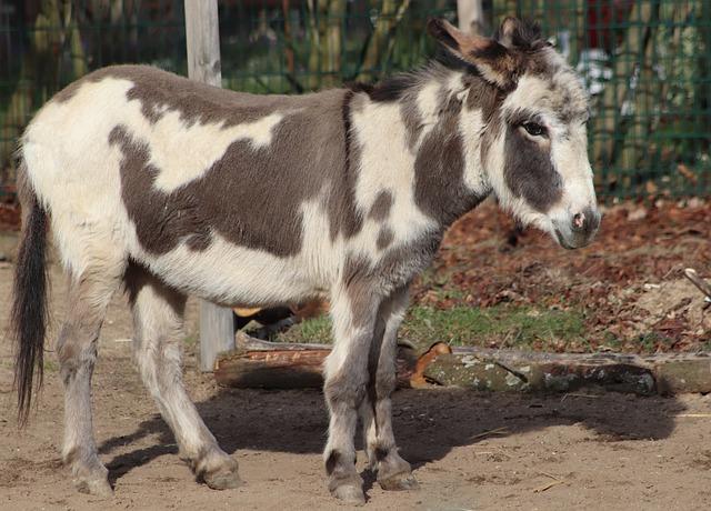 Doporučení pro plánování důchodového zabezpečení