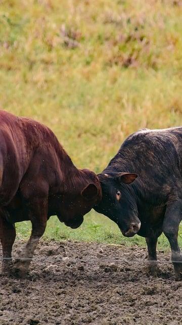 Babské rady na naraženiny: Rychlá pomoc při naraženinách