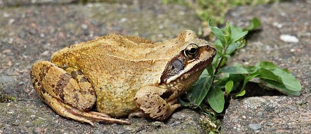 Zkušenosti našich obyvatel: Příběhy a doporučení