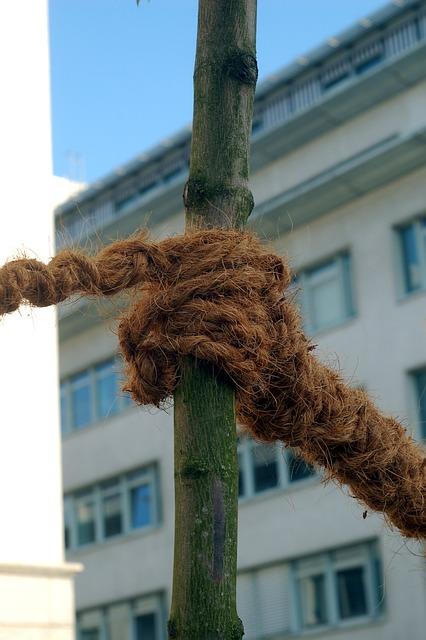 Psychologická opora a emocionální péče