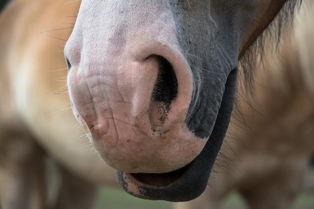 Znalosti, které ‌vám pomohou udržet nosní‍ dutiny zdravé