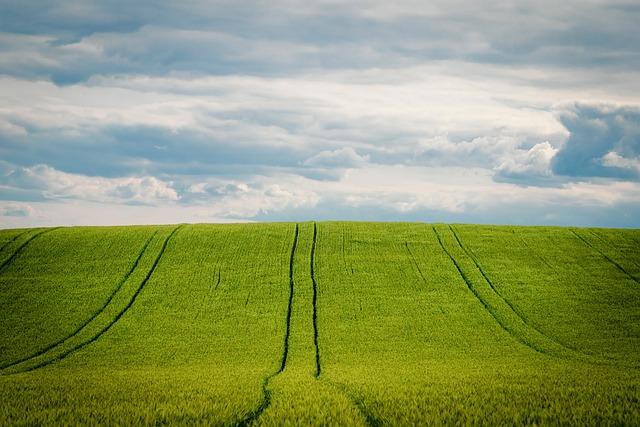 Příznaky ječného zrna, na co si dát pozor