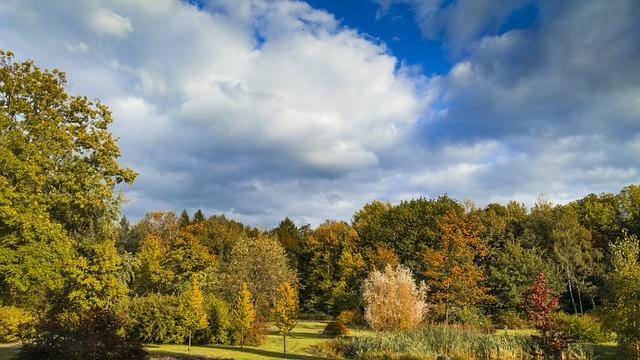 Využití octa a soli v boji proti plevelu