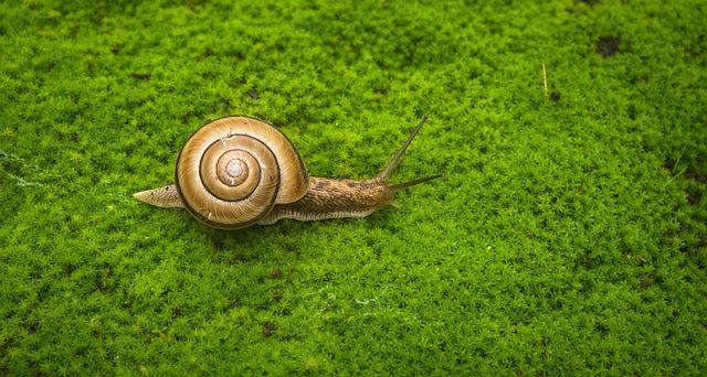 Prevence hlenů: Jak se vyhnout problémům