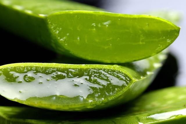 Aloe vera: Zázrak pro zdravou pokožku hlavy