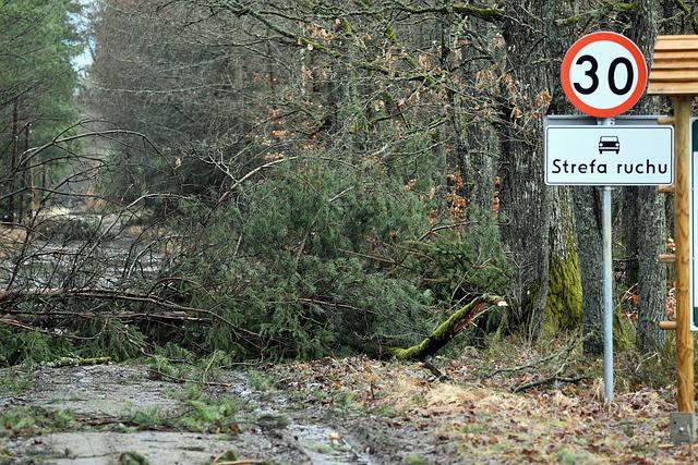 Prevence ucpání dutin: Jak se postarat o zdraví