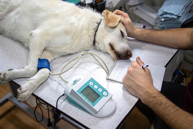 Jaké potíže mohou preventivní vyšetření odhalit