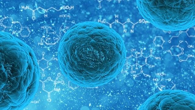 Jak rozpoznat změny v chuti k jídlu u osob s Alzheimerovou nemocí