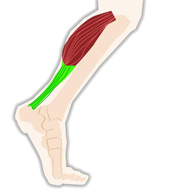 Závěr: Cesta k zdravým šlachám a prevenci relapsů