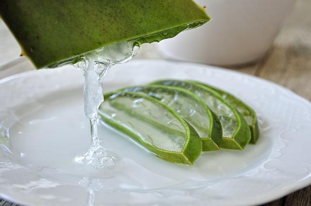 Aloe vera: Přírodní zázrak na spálenou pokožku