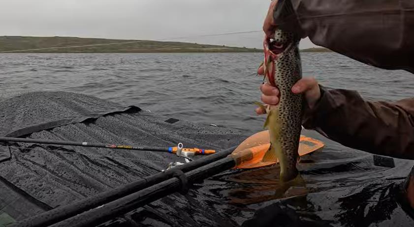 Úspěch na navijáku: vybavení z Temu pomáhá překonávat osobní rybářské rekordy 3